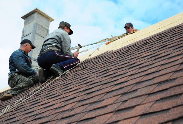 Best Metal Roofing Contractor  in Chester Gap, VA