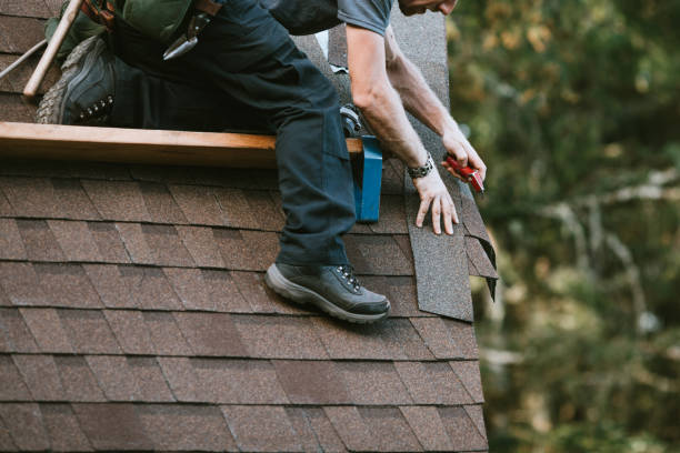 Best Roof Gutter Cleaning  in Chester Gap, VA